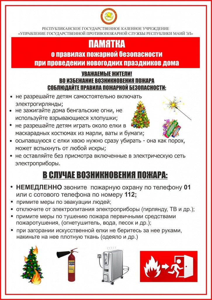 ПБ на НГ дома.jpg